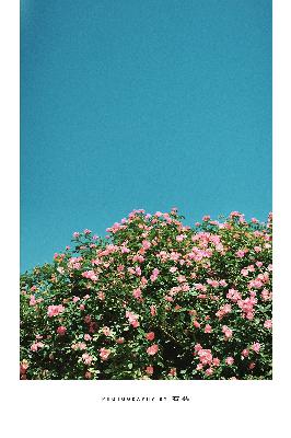 不要和陌生人说话